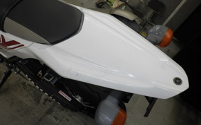 YAMAHA WR250X 1987 DG15J