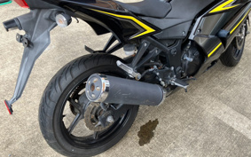 KAWASAKI NINJA 250R EX250K