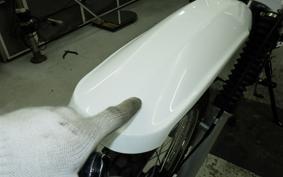 SUZUKI TS185 2017