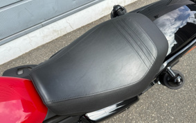 HARLEY RH975 NIGHT STAR 2023 ZH1