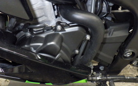 KAWASAKI ZX-4RR 2023 ZX400P