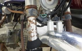 HONDA GORILLA Z50J
