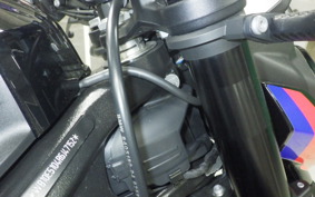 BMW S1000R 2024