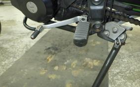 KAWASAKI KLX250D TRACKER X 2019 LX250V