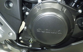 SUZUKI GSX250 R 1999