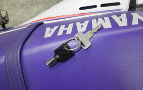 YAMAHA TT250R 2009 4GY
