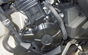 KAWASAKI VERSYS-X 250 A 2022 LE250D
