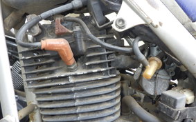 HONDA TLR250R MD18