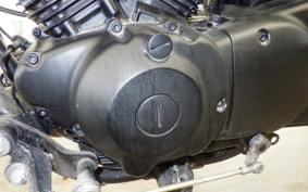 YAMAHA VIRAGO 250 3DM