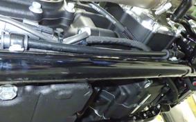 HARLEY FXBB1920 2025