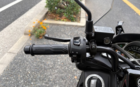 HARLEY FXDF1580 2008 GY4