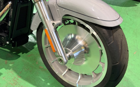 HARLEY FLFB 2025 YF9