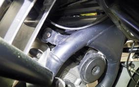 HARLEY PAN AMERICA 1250 S 2021