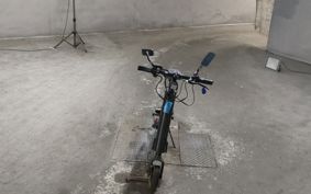 OTHER MINI BIKE ..