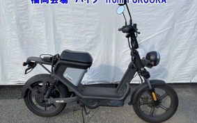 OTHER MINI BIKE