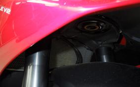 DUCATI PANIGALE V2 2021