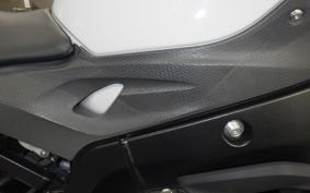 BMW S1000R 2018