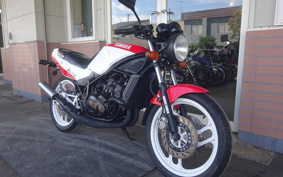 YAMAHA RZ250R 29L