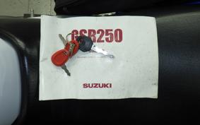 SUZUKI GSR250
