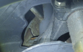 SUZUKI ZZ CA1PB