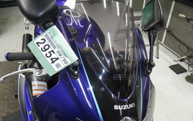 SUZUKI GSX-R1000 2006