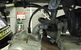 HONDA MONKEY 2021 Z50J