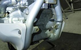 YAMAHA WR250R 2024 DG15J