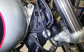 HARLEY FXDL 1580 2015