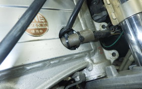 SUZUKI RGV250 Gamma 2009 VJ21A