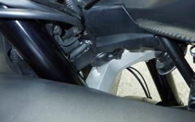 TRIUMPH DAYTONA 660 2024