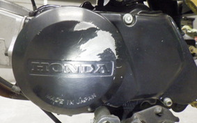 HONDA MONKEY 2024 Z50J