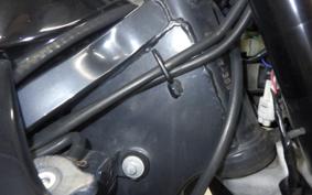 KAWASAKI KLX250D TRACKER 2021 LX250E