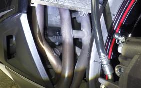 KAWASAKI NINJA 1000SX 2024 ZXT02K