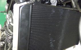 KAWASAKI Z900RS 2025 ZR900K