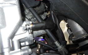 YAMAHA WR250X 2023 DG15J