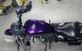 HARLEY XL883N 2015