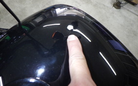 HARLEY FXBB1750 2017