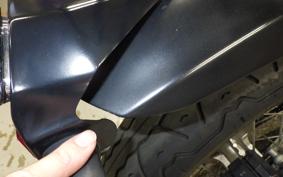 KAWASAKI W800 STREET 2020 EJ800B