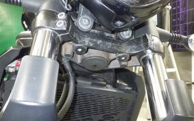 KAWASAKI VULCAN 650 SA 2021 EN650G