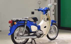 HONDA C110 SUPER CUB 2010 JA44