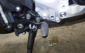 YAMAHA XSR900 GP 2024 RN96J