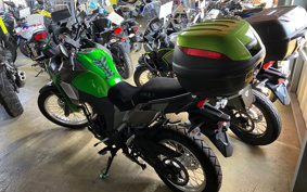 KAWASAKI VERSYS-X 250 LE250D