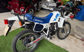 HONDA MTX50R AD06
