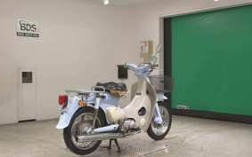 HONDA LITTLE CUB 2023 AA01