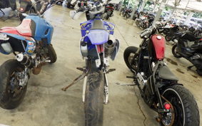 YAMAHA WR250F E CG16W
