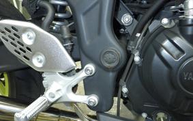 YAMAHA YZF-R25 RG43J