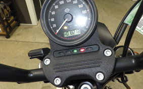 HARLEY XL1200NS 2019