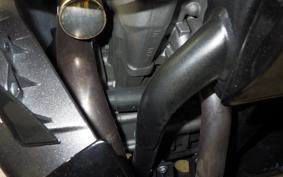 HONDA CRF250 RALLY LDA 2002 MD44