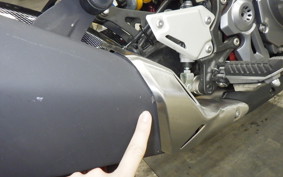 KAWASAKI Z900 2019 ZR900B