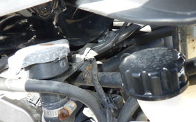 KAWASAKI NINJA 250 ABS EX250L